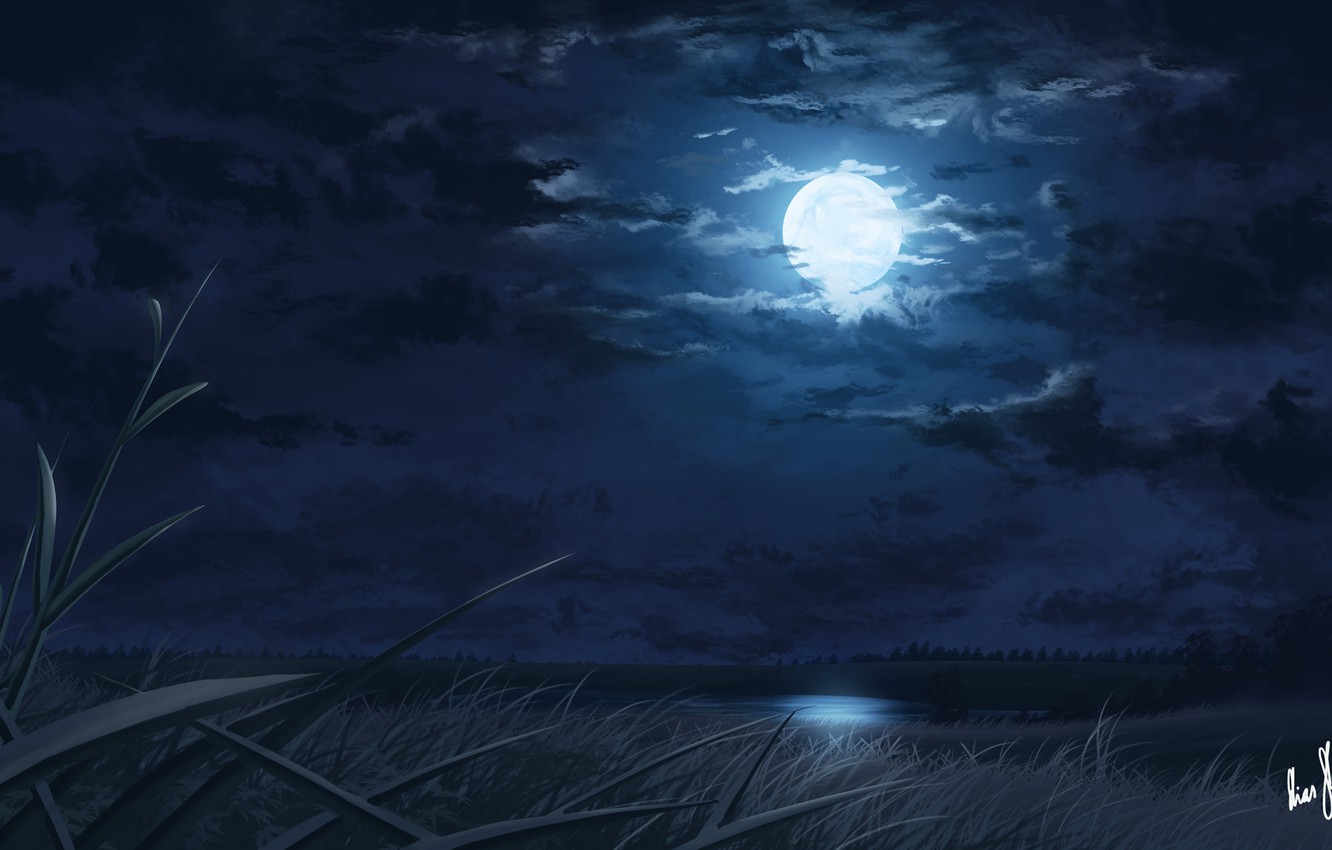 Misty Moon Metropolis